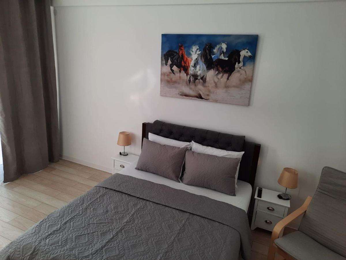 Luxury City Center Apartment - Garofita Romana Βουκουρέστι Εξωτερικό φωτογραφία