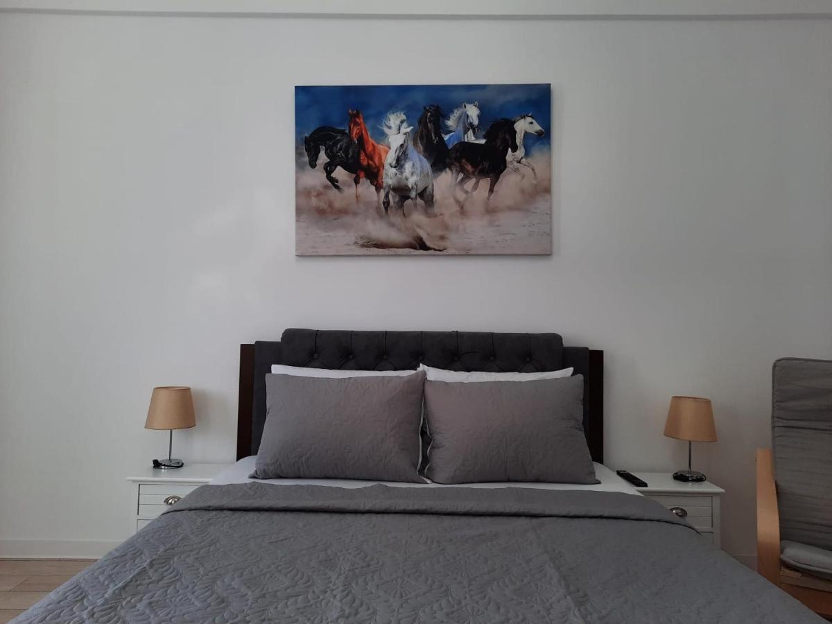 Luxury City Center Apartment - Garofita Romana Βουκουρέστι Εξωτερικό φωτογραφία